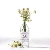 Eau de Parfum - 14 Angelica