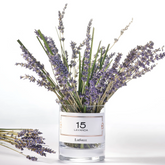 Candle - 15 Lavanda