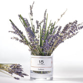 LS7082N_06_45746b76-ead3-4be8-89b5-00a6ce32d5b3